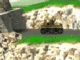 Play Tank Assault Tank Assault