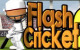 Flash Cricket 2