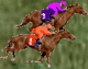 Hollett Horse Racing