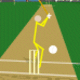 Stick Cricket